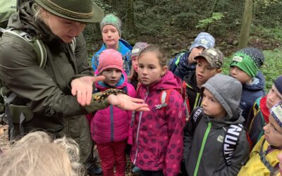 Taková je lesní pedagogika s vámi